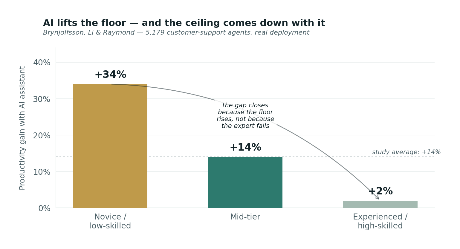 Bar chart of productivity gains by skill level: novices +34%, mid-tier +14%, experienced workers near zero